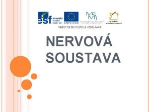 NERVOV SOUSTAVA FUNKCE NERVOV SOUSTAVY pijmn podnt receptory