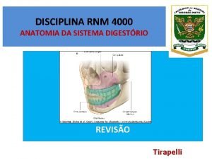 DISCIPLINA RNM 4000 ANATOMIA DA SISTEMA DIGESTRIO EXERCCIOS