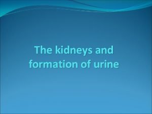 The kidneys and formation of urine Introduction The
