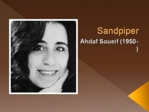 Sandpiper ahdaf soueif