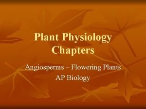 Plant Physiology Chapters Angiosperms Flowering Plants AP Biology