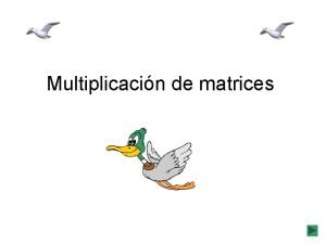 Multiplicacin de matrices ndice Multiplicacin de matrices Cmo
