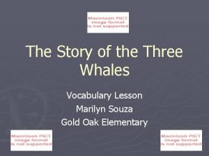 The story of the three whales