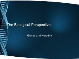 The Biological Perspective Genes and Heredity Physiological Psychology