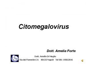 Citomegalovirus Dott Amelia Forte Dott Aniello Di Meglio