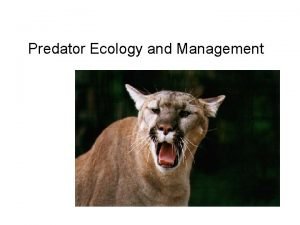 Predator Ecology and Management What is a predator