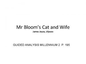 Mr Blooms Cat and Wife James Joyce Ulysses