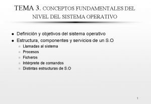 TEMA 3 CONCEPTOS FUNDAMENTALES DEL NIVEL DEL SISTEMA