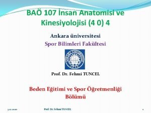 BA 107 nsan Anatomisi ve Kinesiyolojisi 4 0