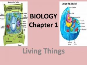 BIOLOGY Chapter 1 Living Things Organism Living things