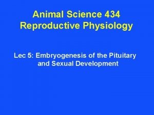 Animal Science 434 Reproductive Physiology Lec 5 Embryogenesis