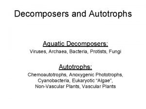 Are viruses decomposers