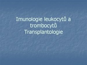 Imunologie leukocyt a trombocyt Transplantologie Imunologie leukocyt a