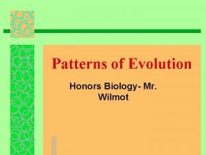 Macroevolution 7 patterns
