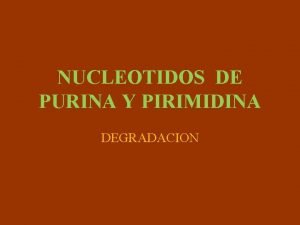 Degradacion de los nucleotidos Degradacion de los nucleotidos