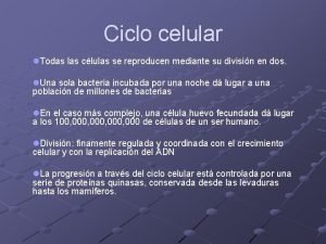 Ciclo celular l Todas las clulas se reproducen