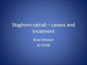 Staghorn calculi causes and treatment Brad Weaver 81908