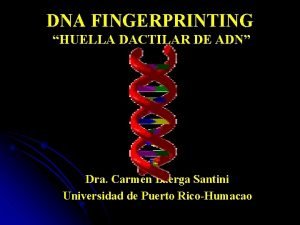 DNA FINGERPRINTING HUELLA DACTILAR DE ADN Dra Carmen