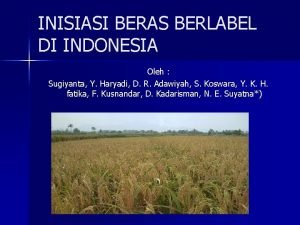 INISIASI BERAS BERLABEL DI INDONESIA Oleh Sugiyanta Y