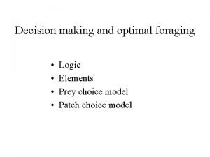 Prey choice model