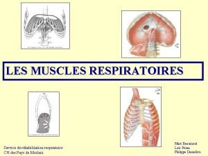 LES MUSCLES RESPIRATOIRES Service de rhabilitation respiratoire CH