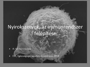 Nyirokszervek az immunrendszer felptse H Mink Krisztina EKK