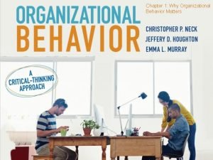 Organizational behavior levels of analysis
