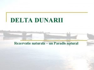 Delta dunarii ecosistem