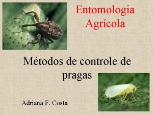 Entomologia Agrcola Mtodos de controle de pragas Adriana