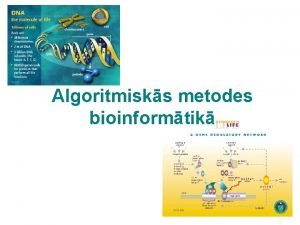 Algoritmisks metodes bioinformtik Replikcijas Replikcija DNS divkrojuma process