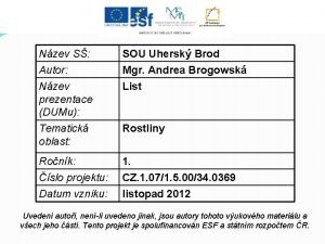 Modifikace listu Modifikace listu