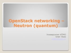 Open Stack networking Neutron quantum ollniif spb su