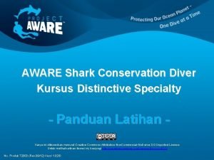 AWARE Shark Conservation Diver Kursus Distinctive Specialty Panduan