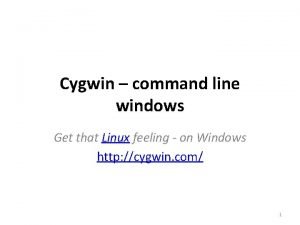 Cygwin command line