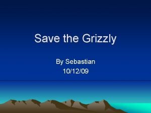 Sebastian grizzly