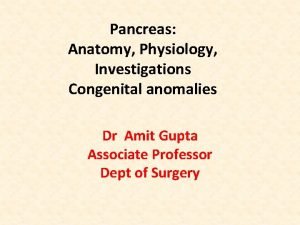 Pancreas Anatomy Physiology Investigations Congenital anomalies Dr Amit