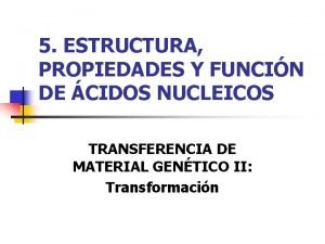 5 ESTRUCTURA PROPIEDADES Y FUNCIN DE CIDOS NUCLEICOS