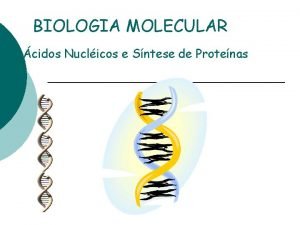 BIOLOGIA MOLECULAR cidos Nuclicos e Sntese de Protenas