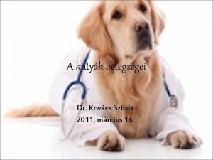 A kutyk betegsgei Dr Kovcs Szilvia 2011 mrcius