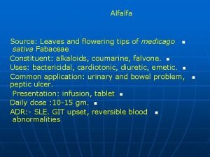 Alfalfa Source Leaves and flowering tips of medicago