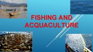 FISHING AND ACQUACULTURE IES M ANUEL D Fishing