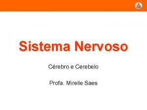 Sistema Nervoso Crebro e Cerebelo Profa Mirelle Saes
