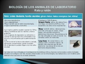 Animales de laboratorio