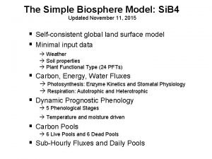 Simple biosphere model