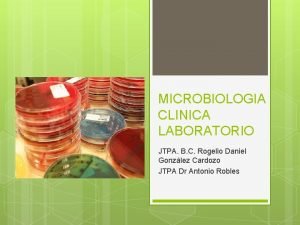 MICROBIOLOGIA CLINICA LABORATORIO JTPA B C Rogelio Daniel