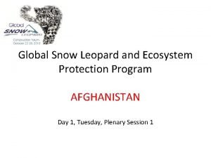 Global Snow Leopard and Ecosystem Protection Program AFGHANISTAN