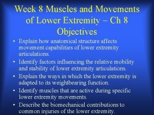 Week 8 Muscles and Movements of Lower Extremity