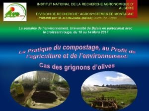 INSTITUT NATIONAL DE LA RECHERCHE AGRONOMIQUE D ALGERIE