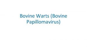 Bovine Warts Bovine Papillomavirus Papilloma is a common