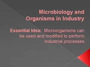 Microbiology and Organisms in Industry Essential Idea Microorganisms